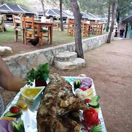 Durusu Ciftlikevleri Datca