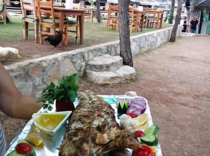 Durusu Ciftlikevleri 닷차