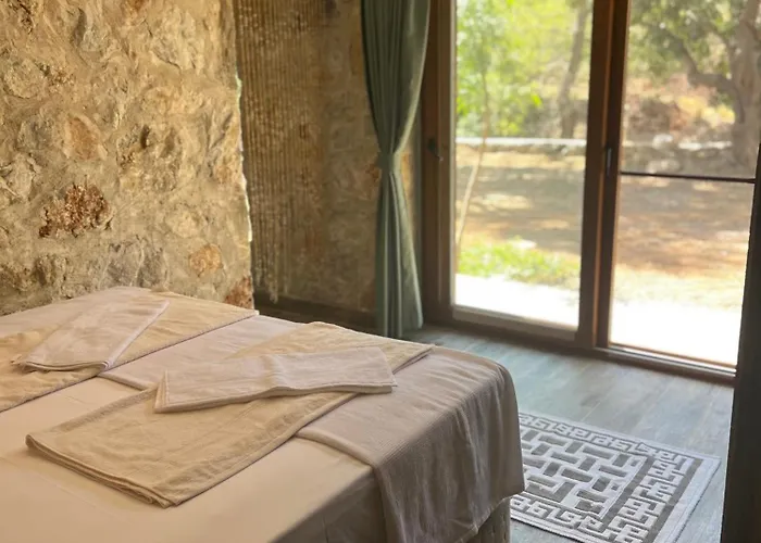 Durusu Ciftlikevleri 닷차